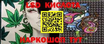 сатива Берёзовский
