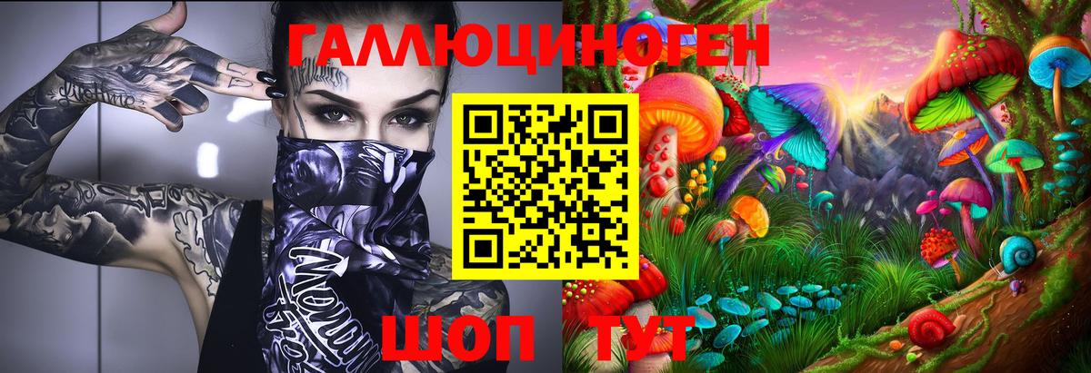 Псилоцибиновые грибы Psilocybine cubensis  Псилоцибиновые грибы MAGIC MUSHROOMS  Ипатово  Вход с VPN 