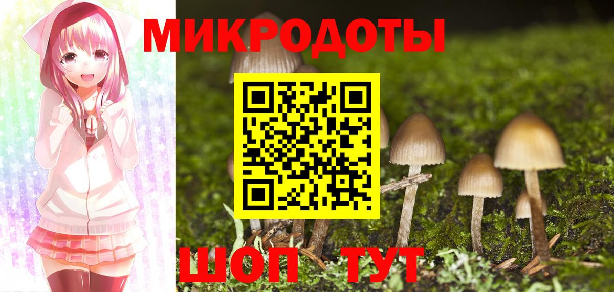 Псилоцибиновые грибы Cubensis Ипатово